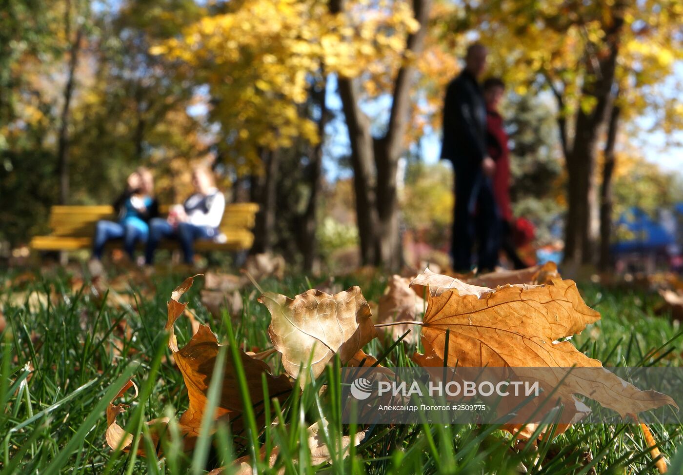 Осень в Ростове-на-Дону