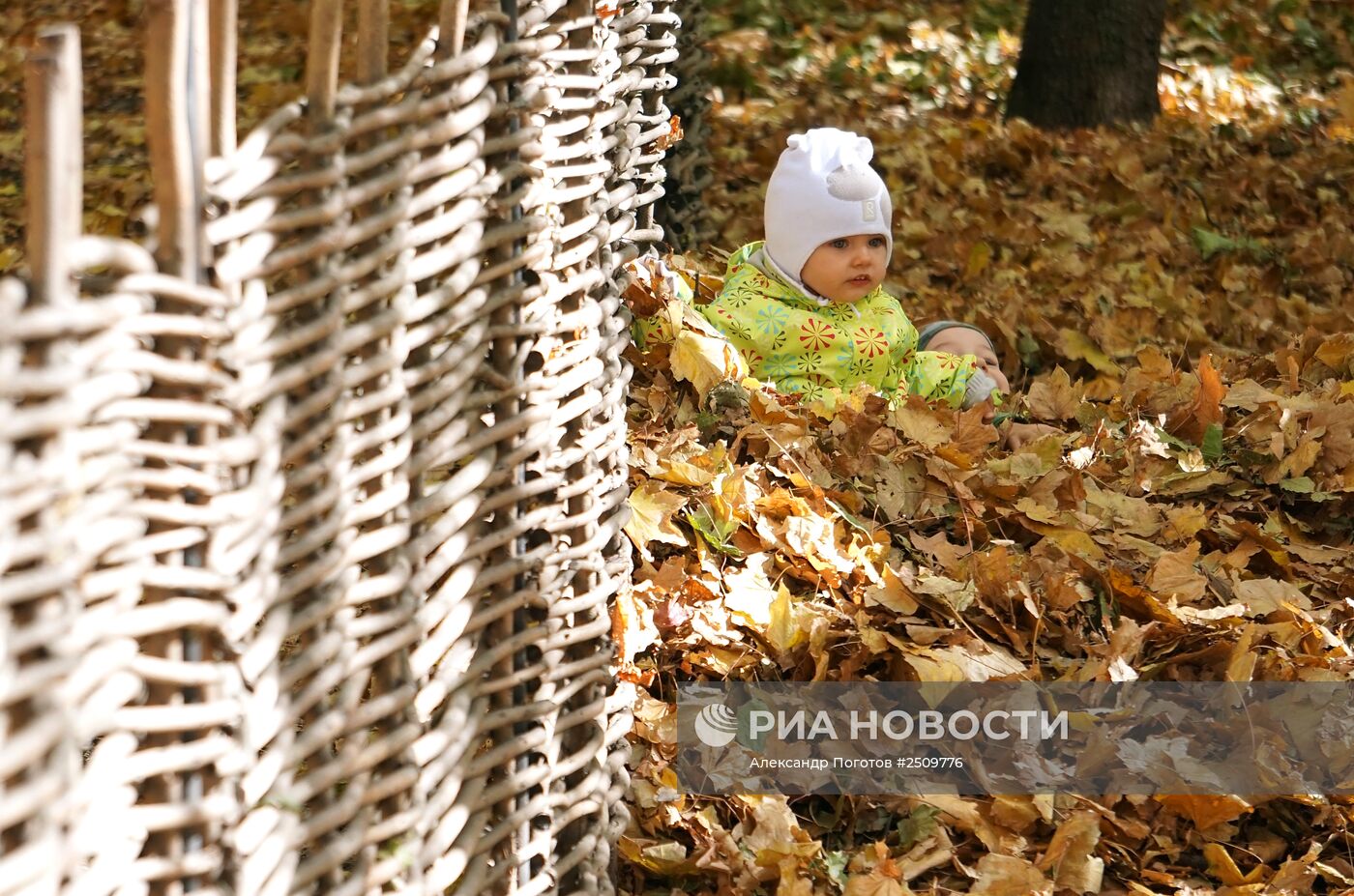 Осень в Ростове-на-Дону