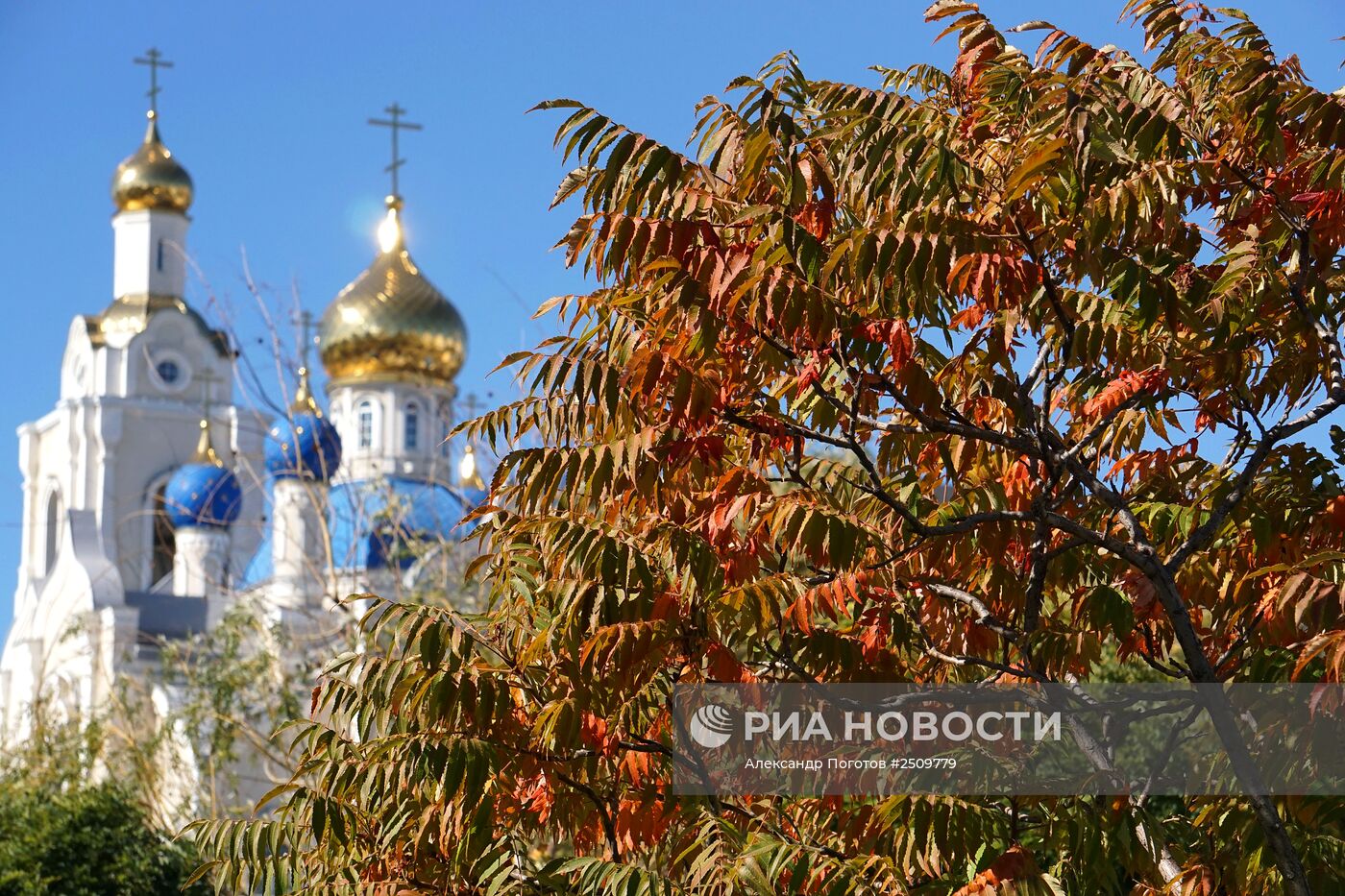 Осень в Ростове-на-Дону