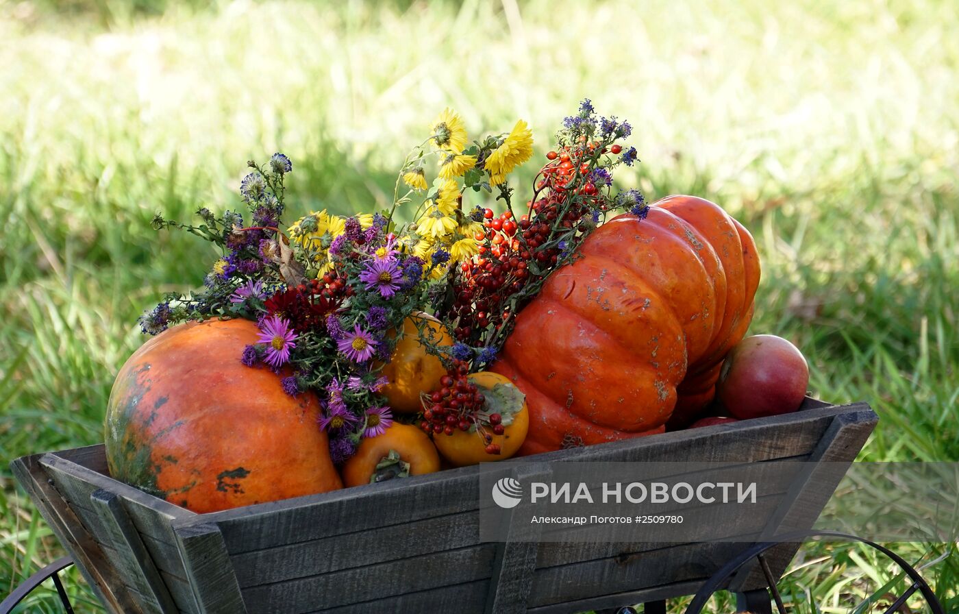 Осень в Ростове-на-Дону