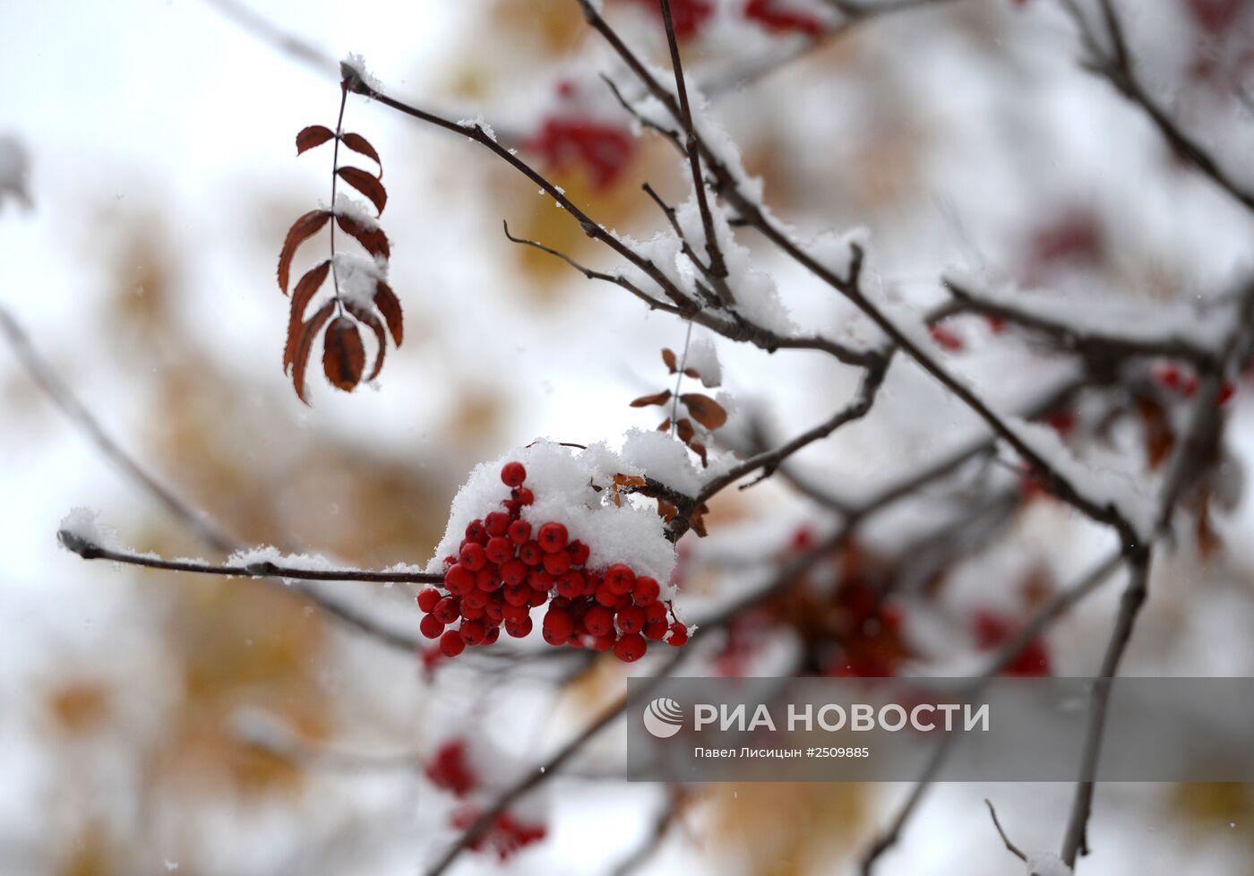 Первый снег в Екатеринбурге