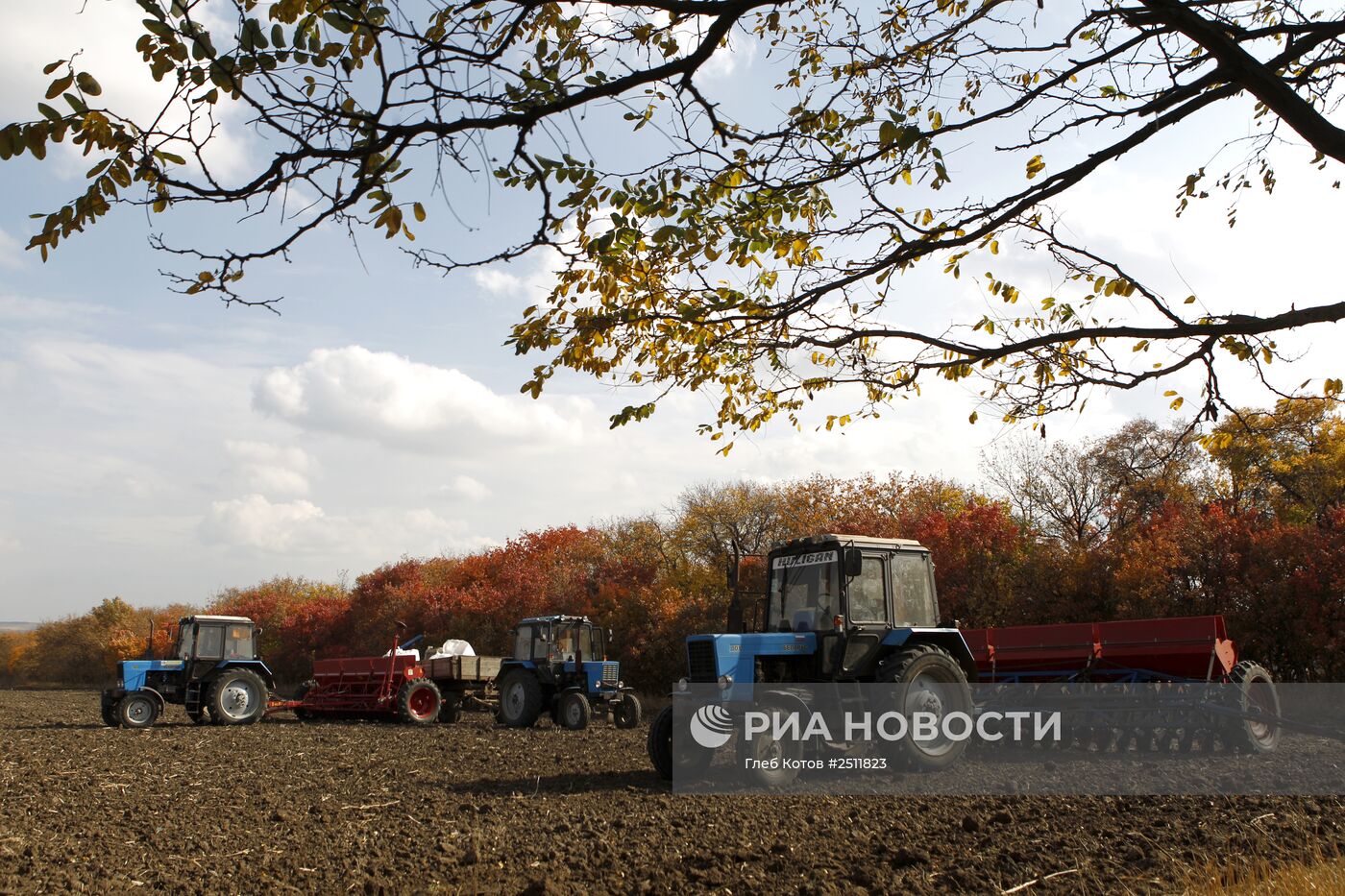 Сев пшеницы в Ставрополе