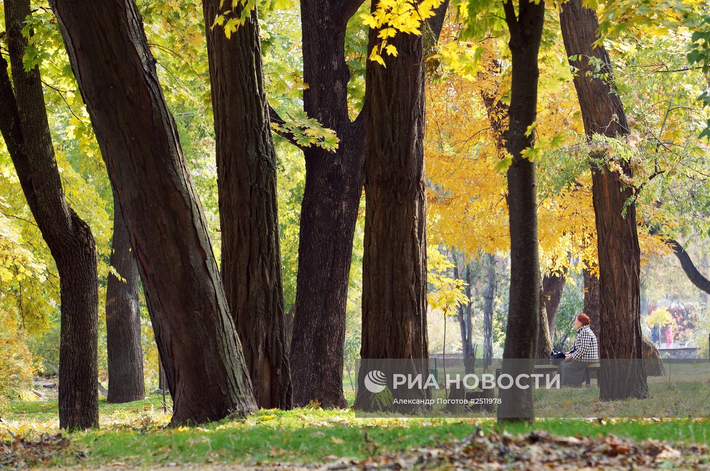 Золотая осень в Таганроге