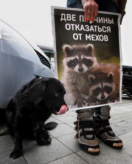Всероссийская акция "Животные - Не одежда" во Владивостоке