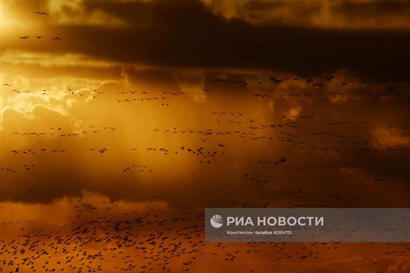 Закат в деревне Шолохово Новгородской области.