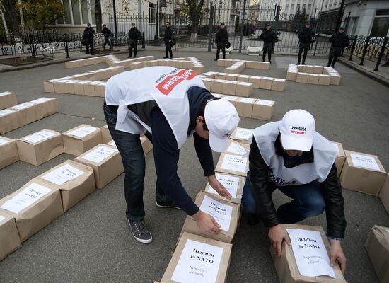 Партия "Батькивщина" представила 3 миллиона подписей за проведение референдума о вступлении Украины в НАТО