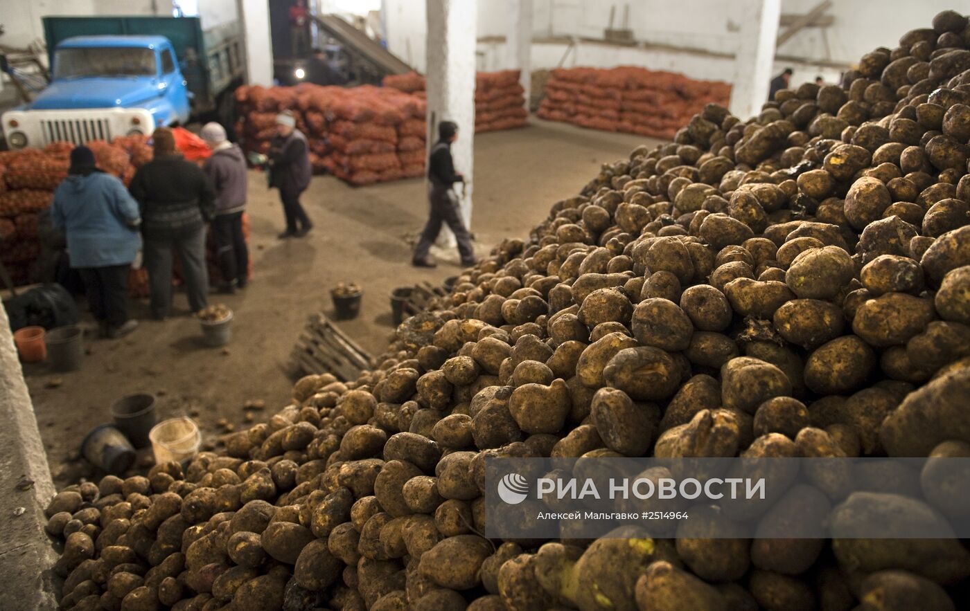 Хозяйство по производству и заготовке овощей в Омской области