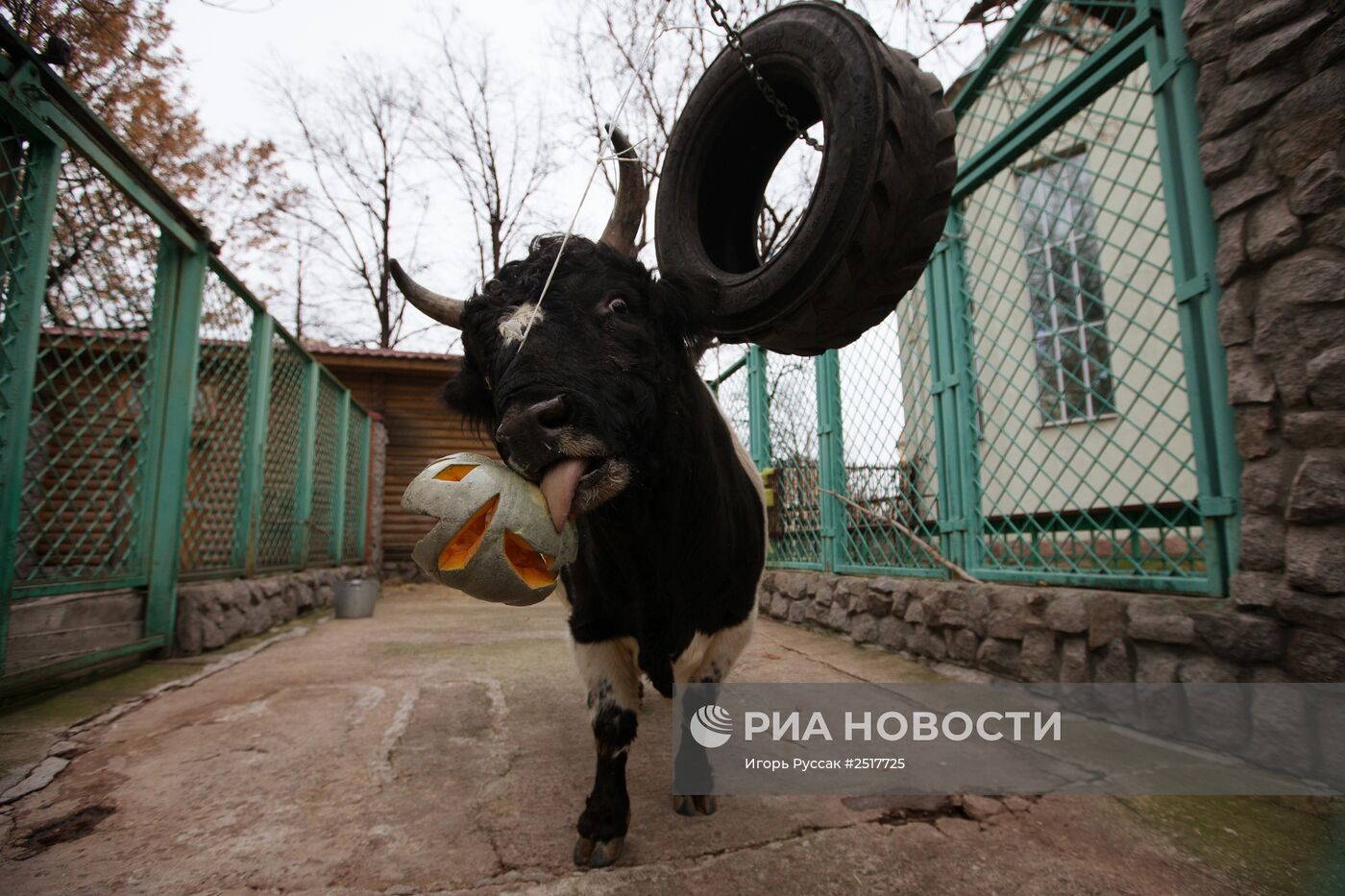 Хэллоуин в Ленинградском зоопарке