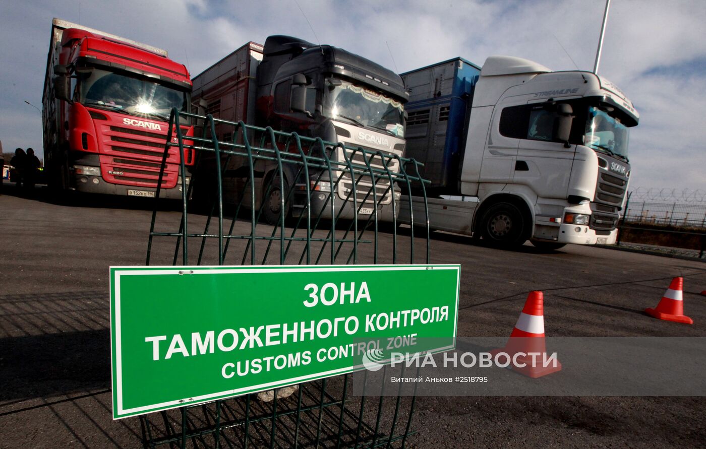 Во Владивосток доставили коров из Германии