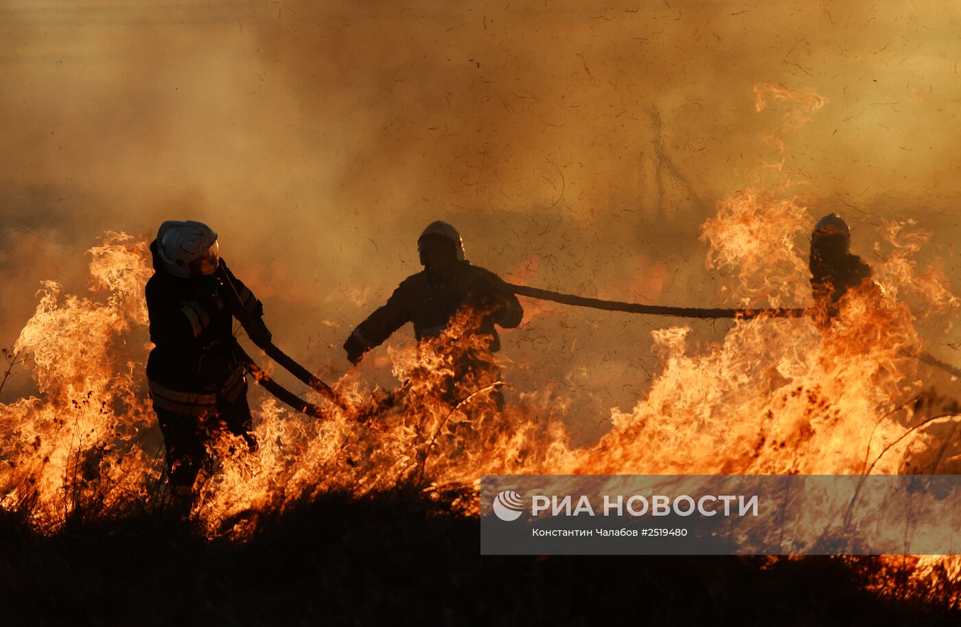 Природные пожары в Новгородской области