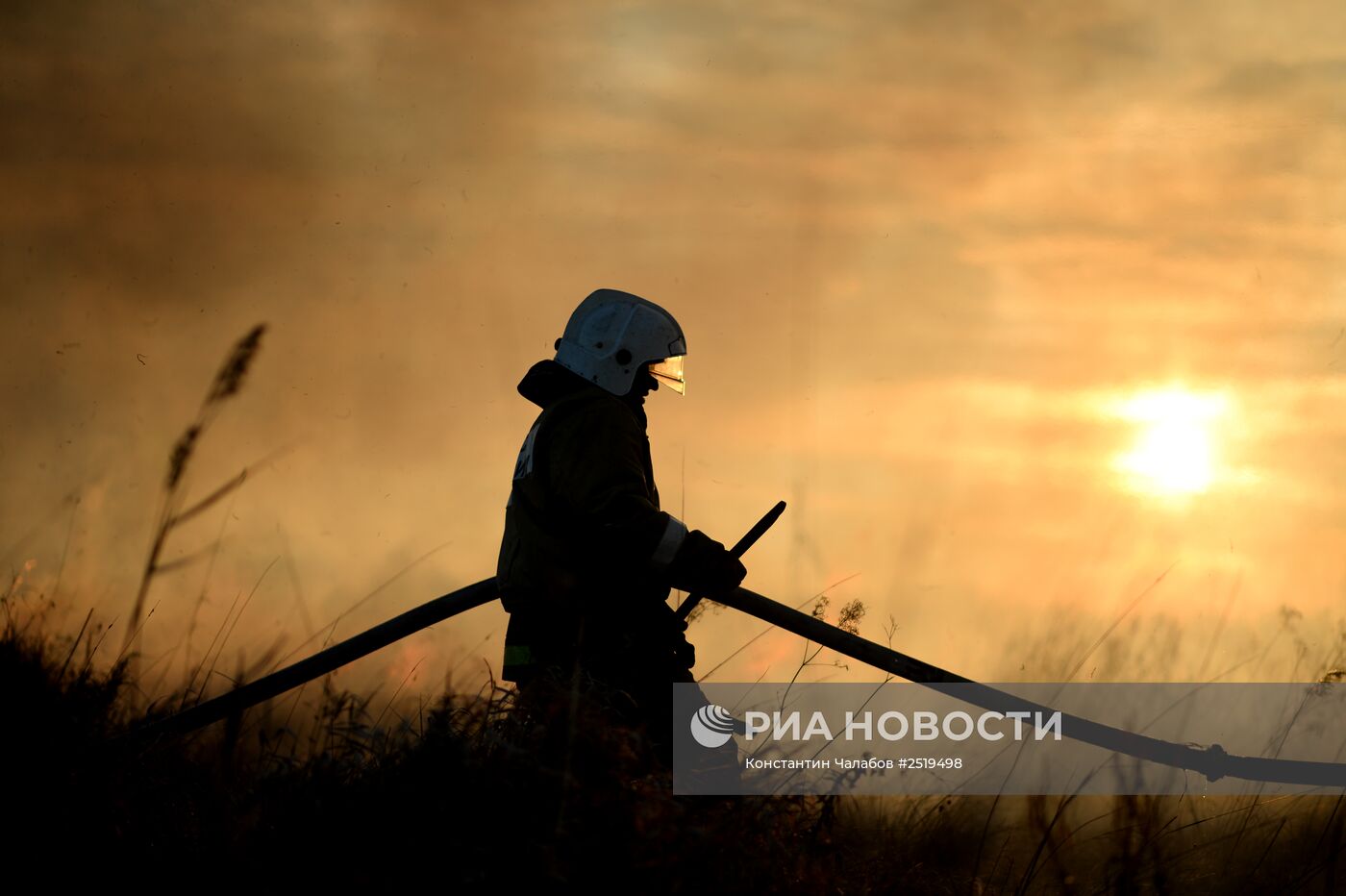 Природные пожары в Новгородской области