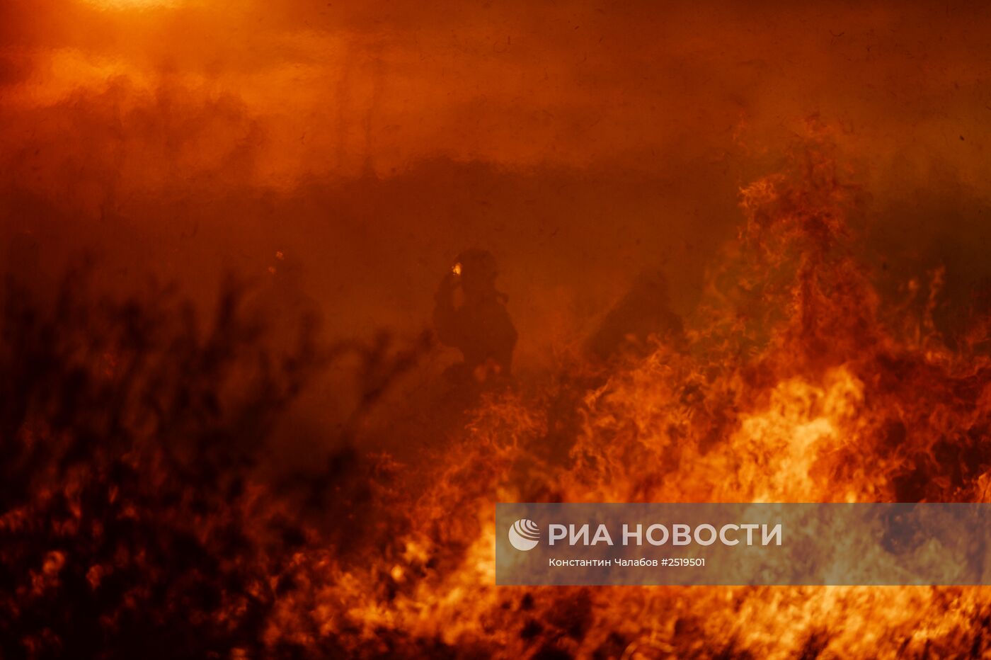 Природные пожары в Новгородской области