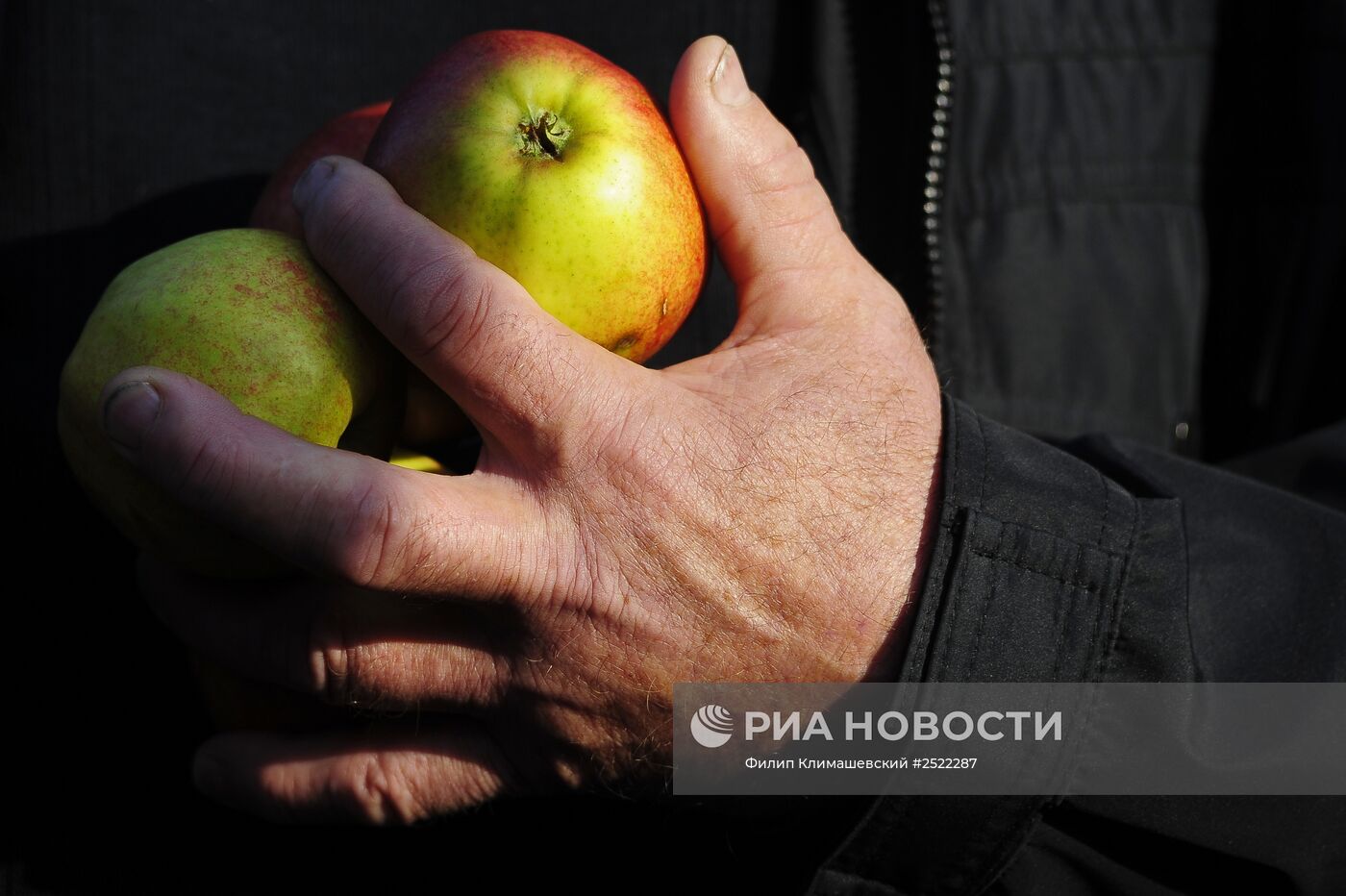 Акция протеста фермеров и садоводов Польши прошла в Варшаве