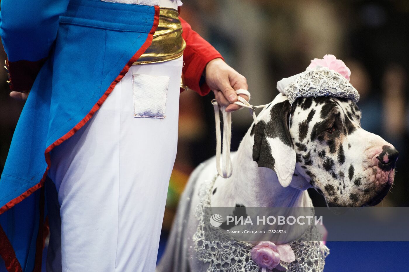 Выставка собак"Россия -2014"