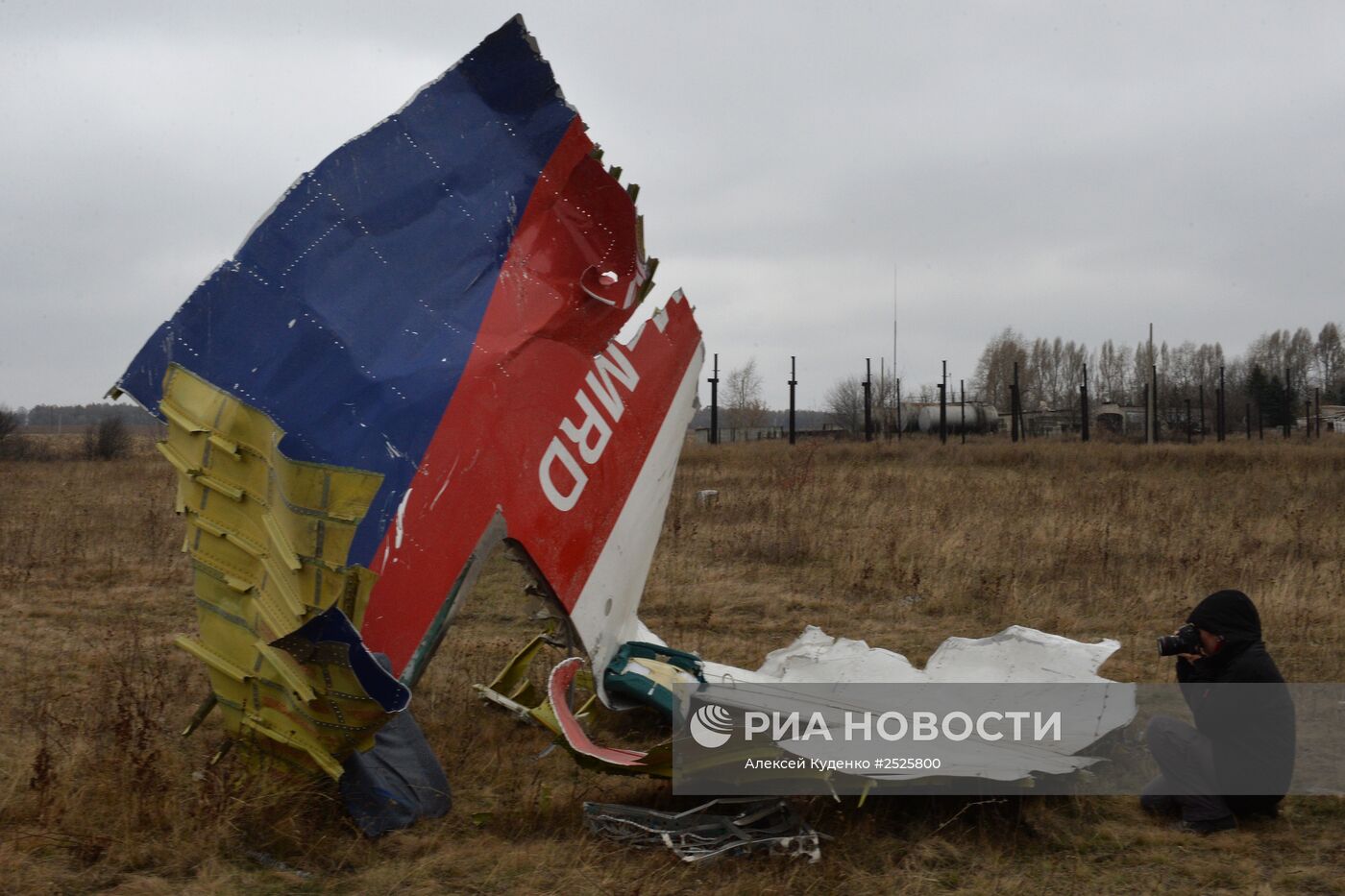 Голландские эксперты проводят работы на месте крушения малайзийского Boeing