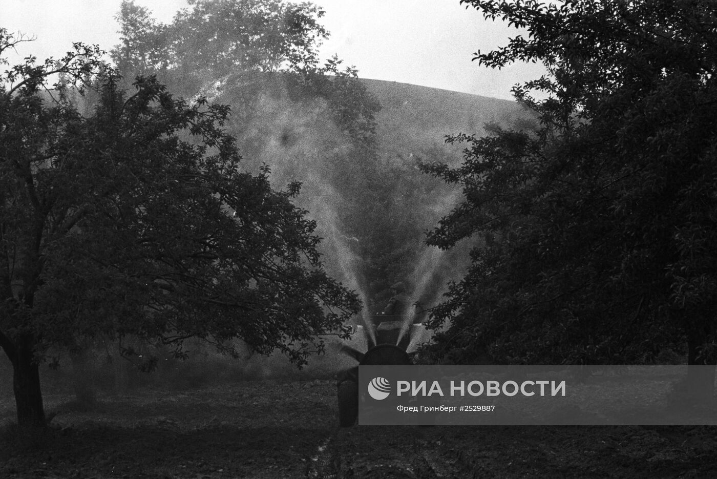 Сады Болгарии