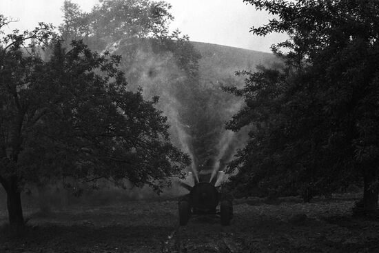 Сады Болгарии