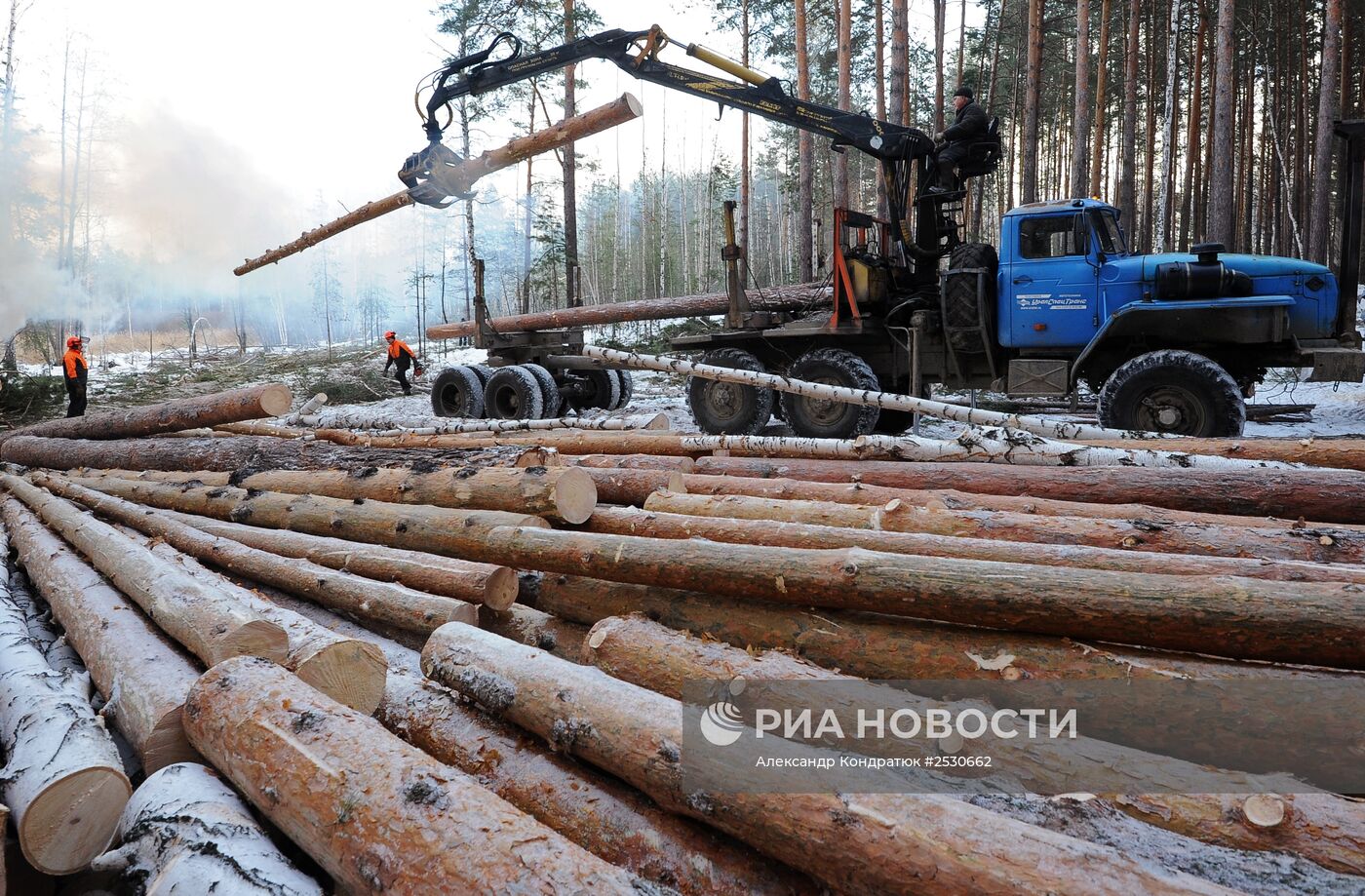 Предприятие по заготовке и переработке древесины "Кыштымский лес" в Челябинской области