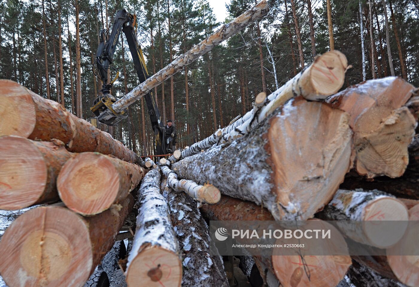 Предприятие по заготовке и переработке древесины "Кыштымский лес" в Челябинской области