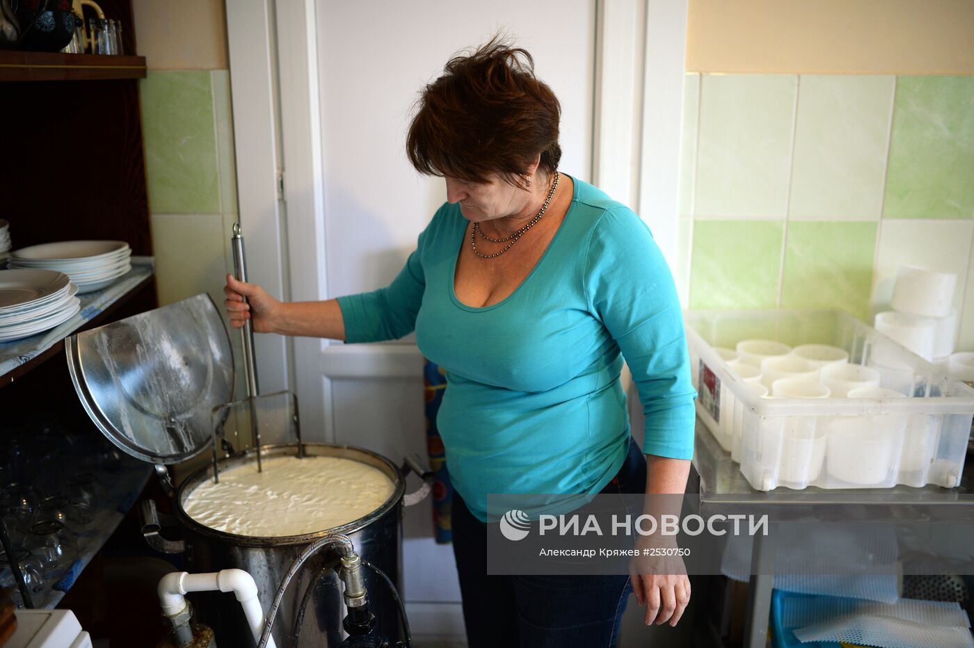 Производство сыров в Алтайском крае