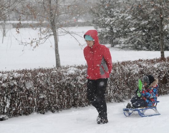 Снегопад в Ростовской области