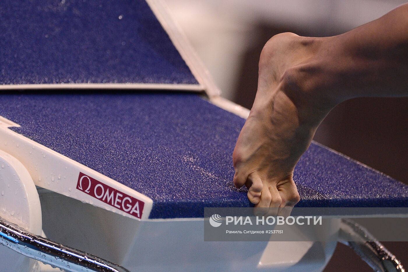 Плавание. Чемпионат мира на короткой воде. Первый день