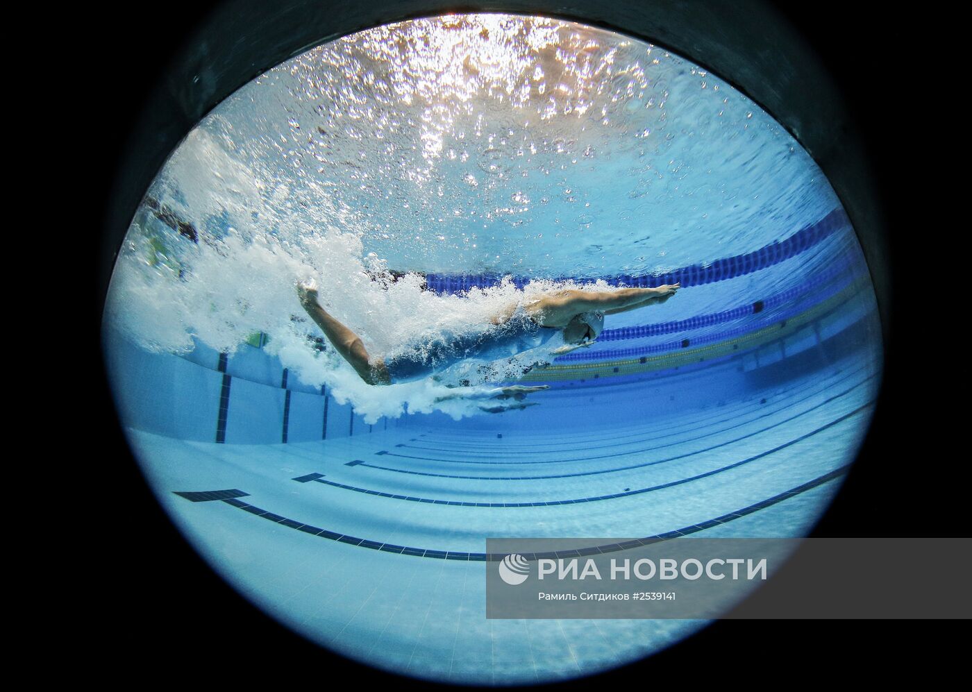 Плавание. Чемпионат мира на короткой воде. Четвертый день