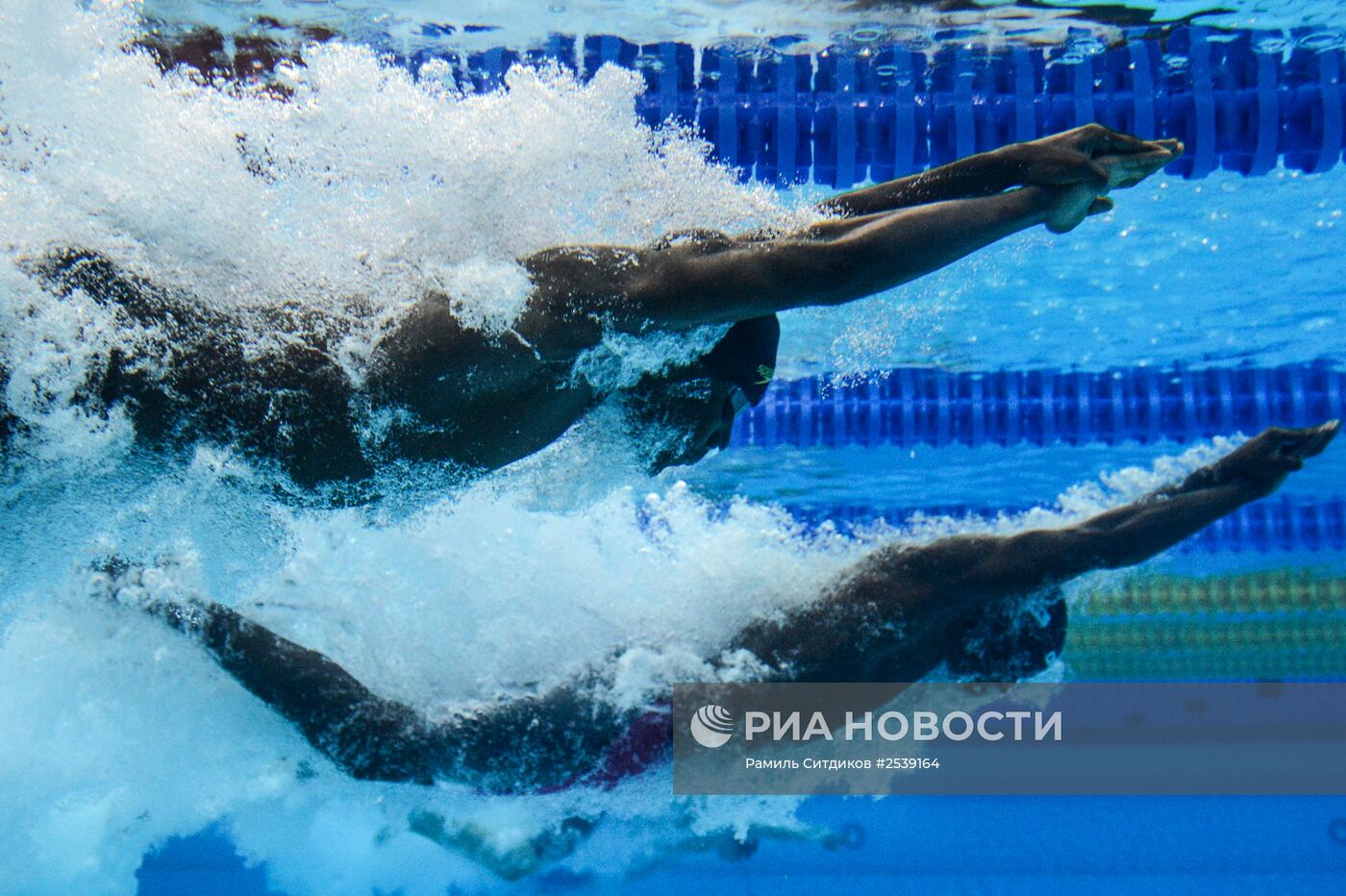 Плавание. Чемпионат мира на короткой воде. Четвертый день