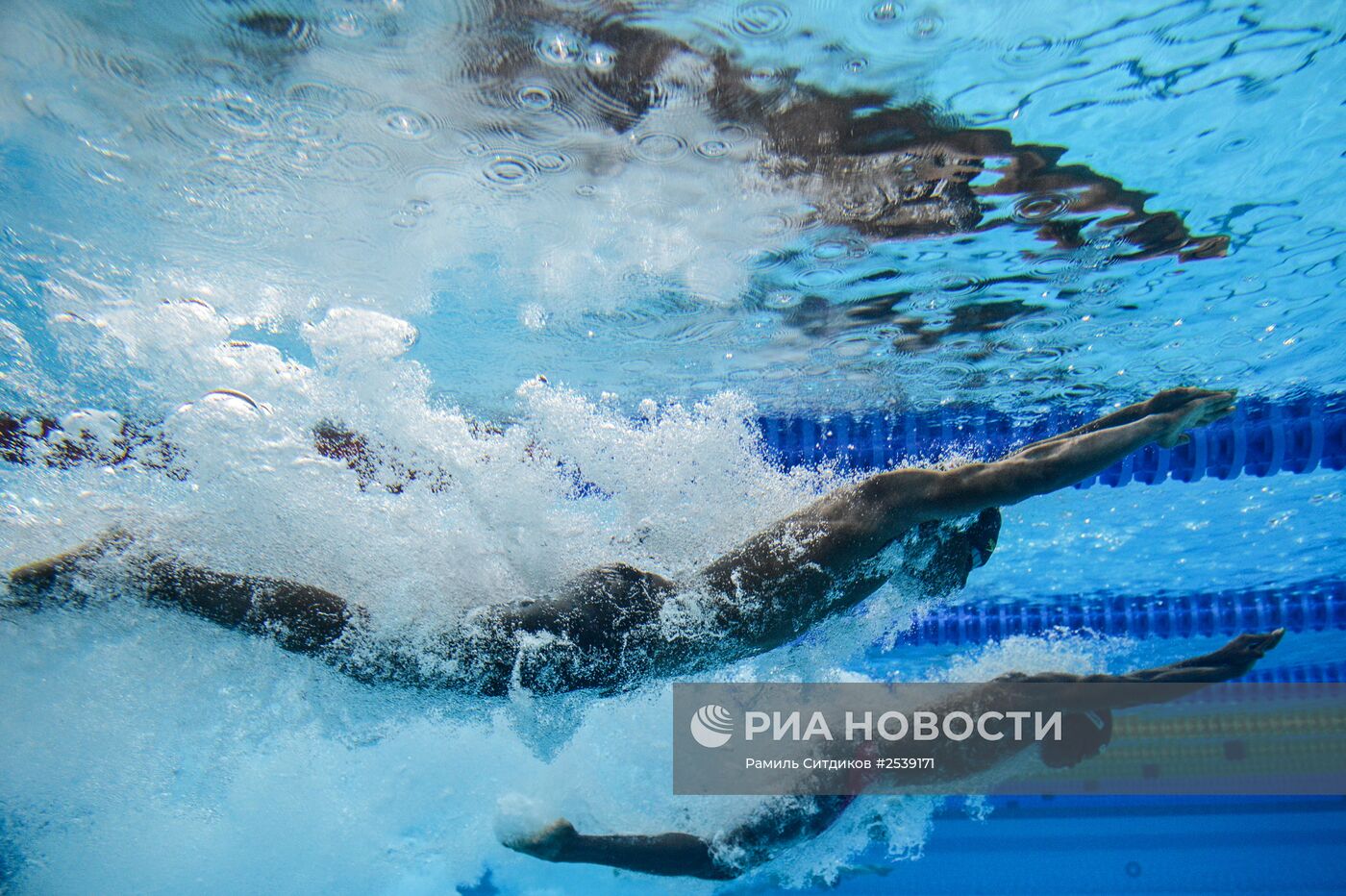 Плавание. Чемпионат мира на короткой воде. Четвертый день