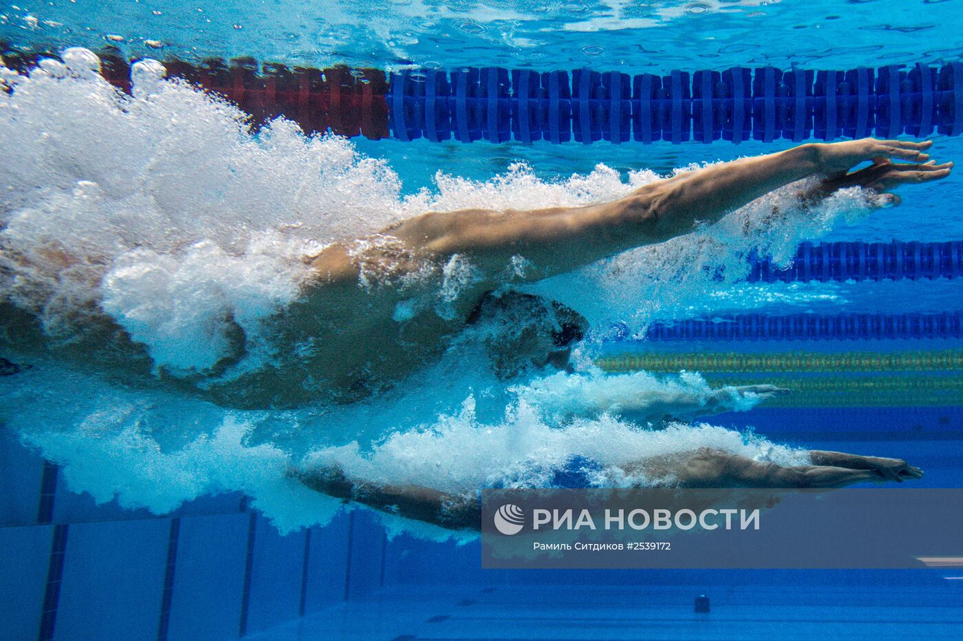 Плавание. Чемпионат мира на короткой воде. Четвертый день