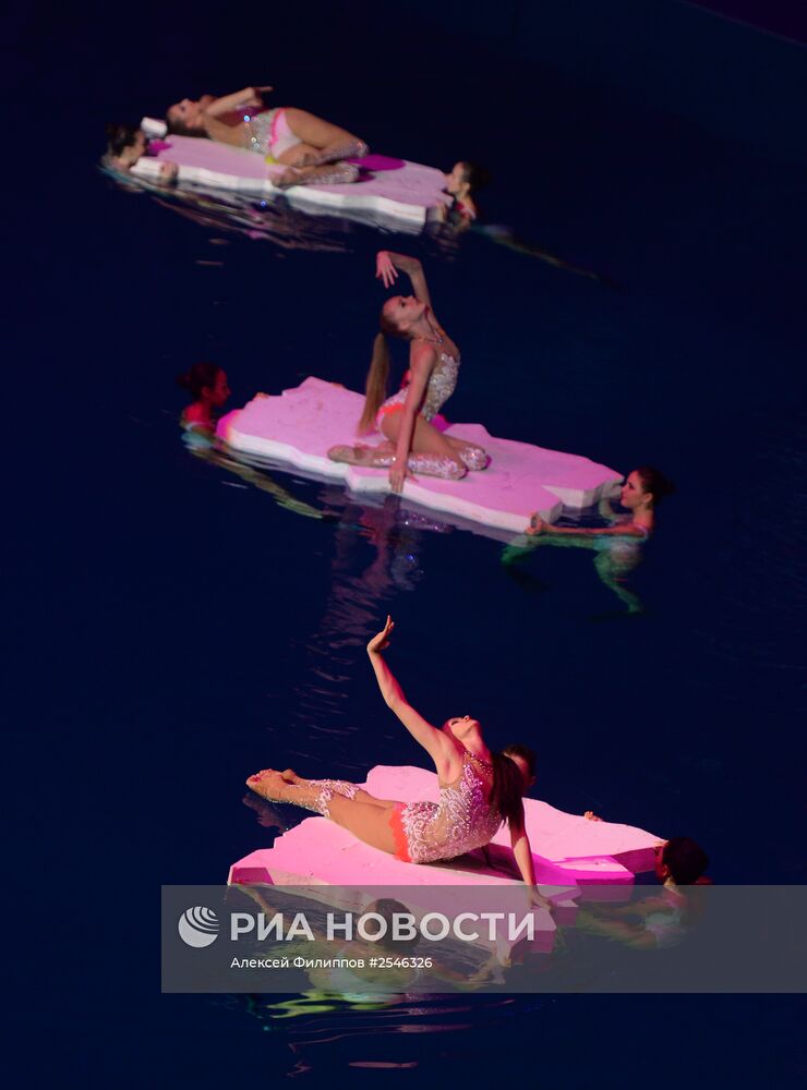 Шоу олимпийских чемпионов по синхронному плаванию