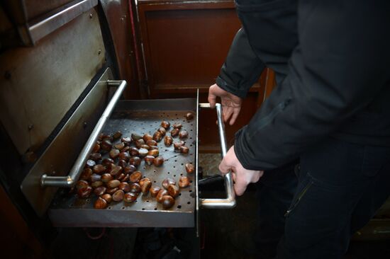 Зарубежные участники фестиваля "Путешествие в Рождество"