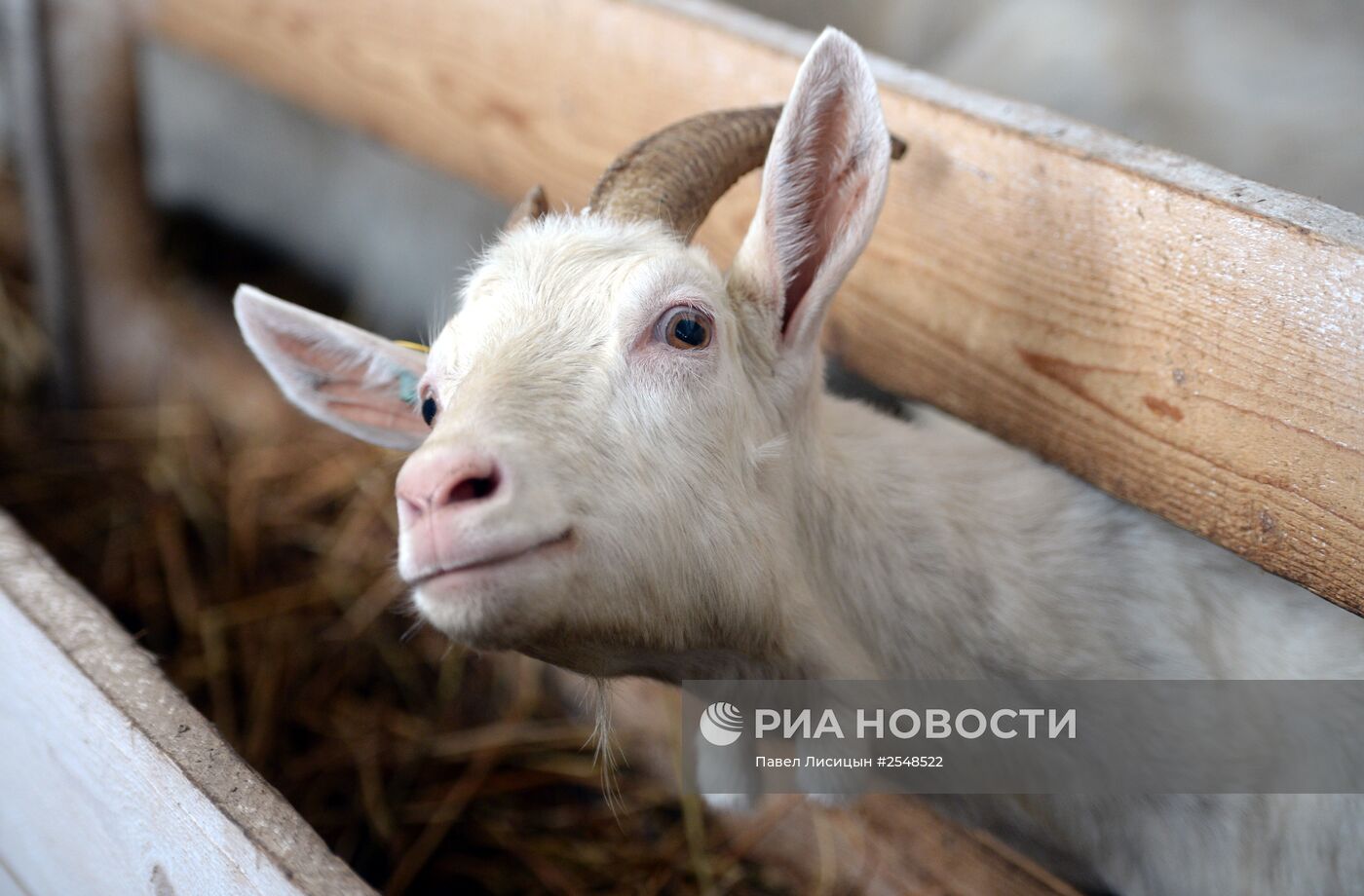 Научно-производственный комплекс "Ачитский" в Свердловской области