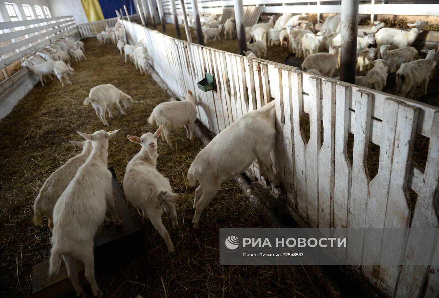 Научно-производственный комплекс "Ачитский" в Свердловской области