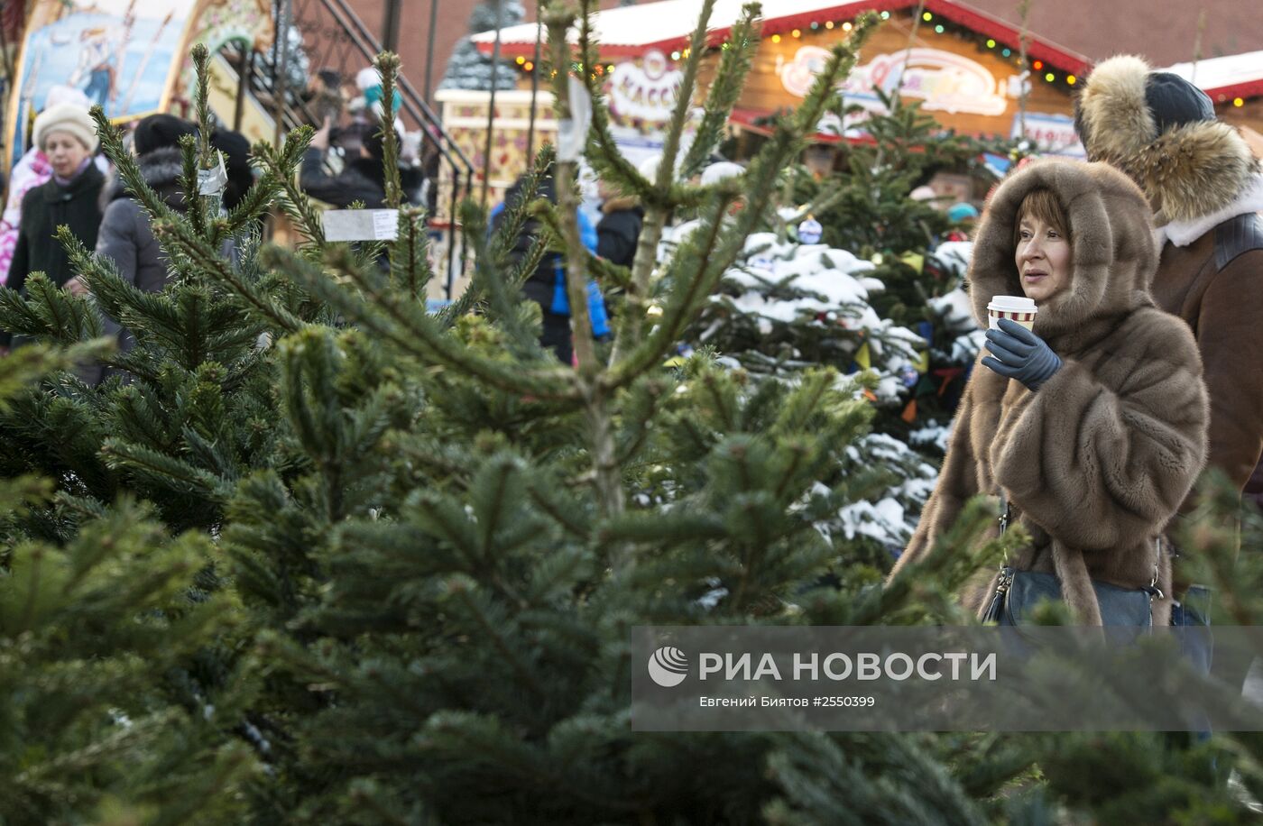 Елочные базары в Москве