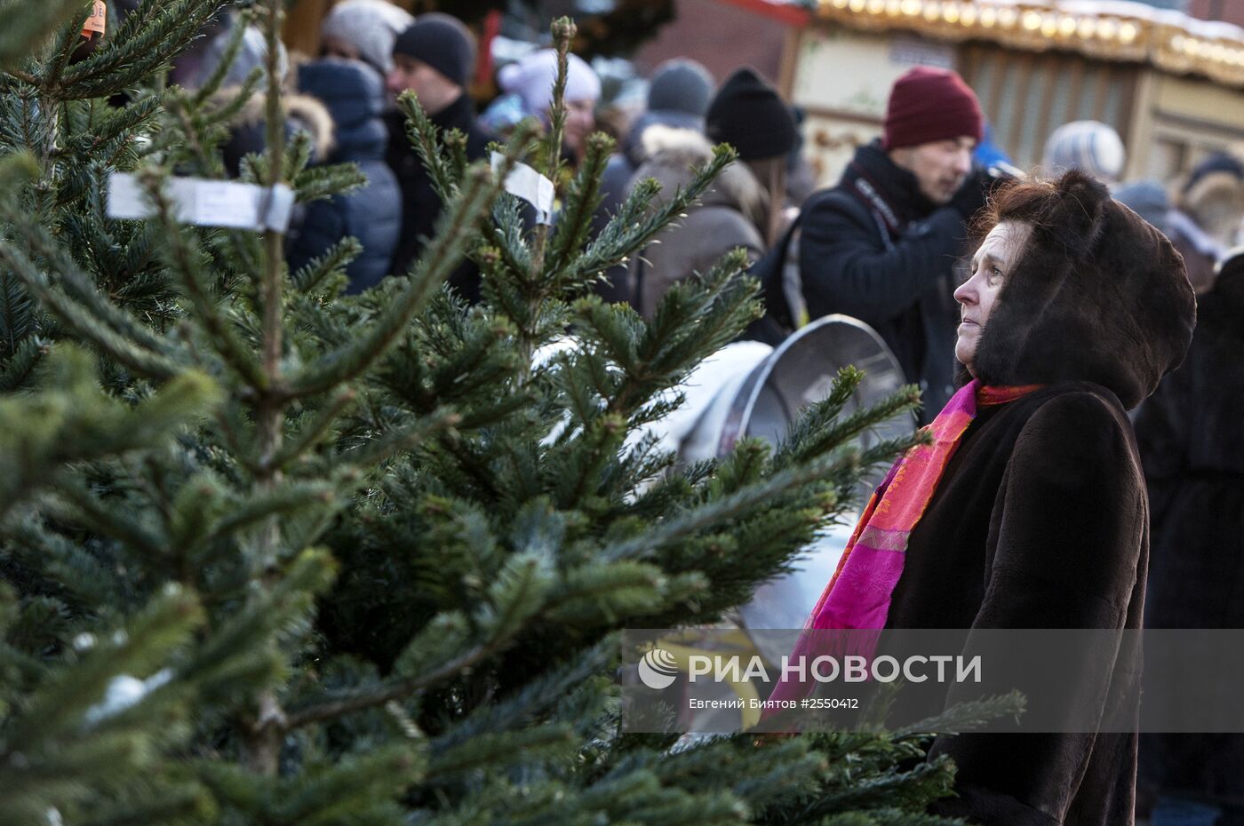 Елочные базары в Москве