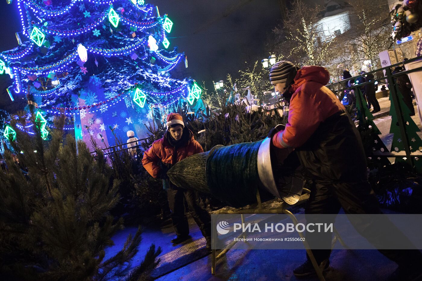 Елочные базары в Москве