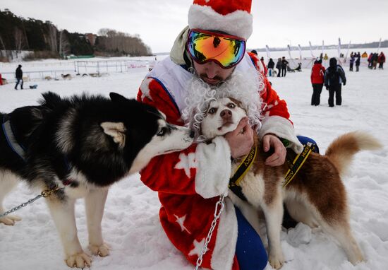 Гонки на собачьих упряжках "Рождественский заезд - 2015"