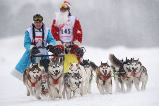 Гонки на собачьих упряжках "Рождественский заезд - 2015"