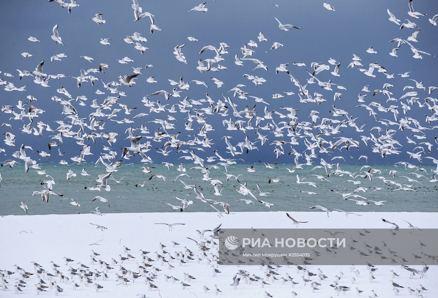 Снегопад в Сочи