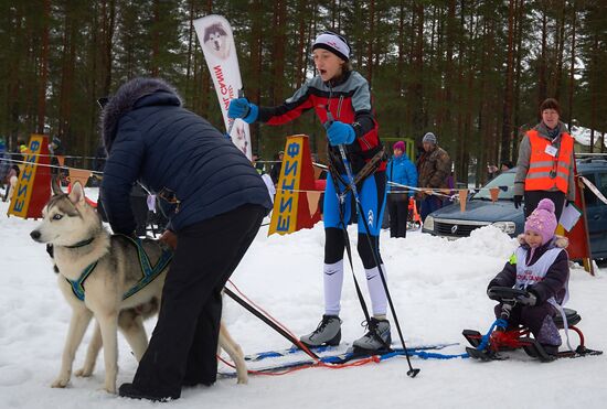 Отборочный этап чемпионата России по заезду на собаках в Лемболово