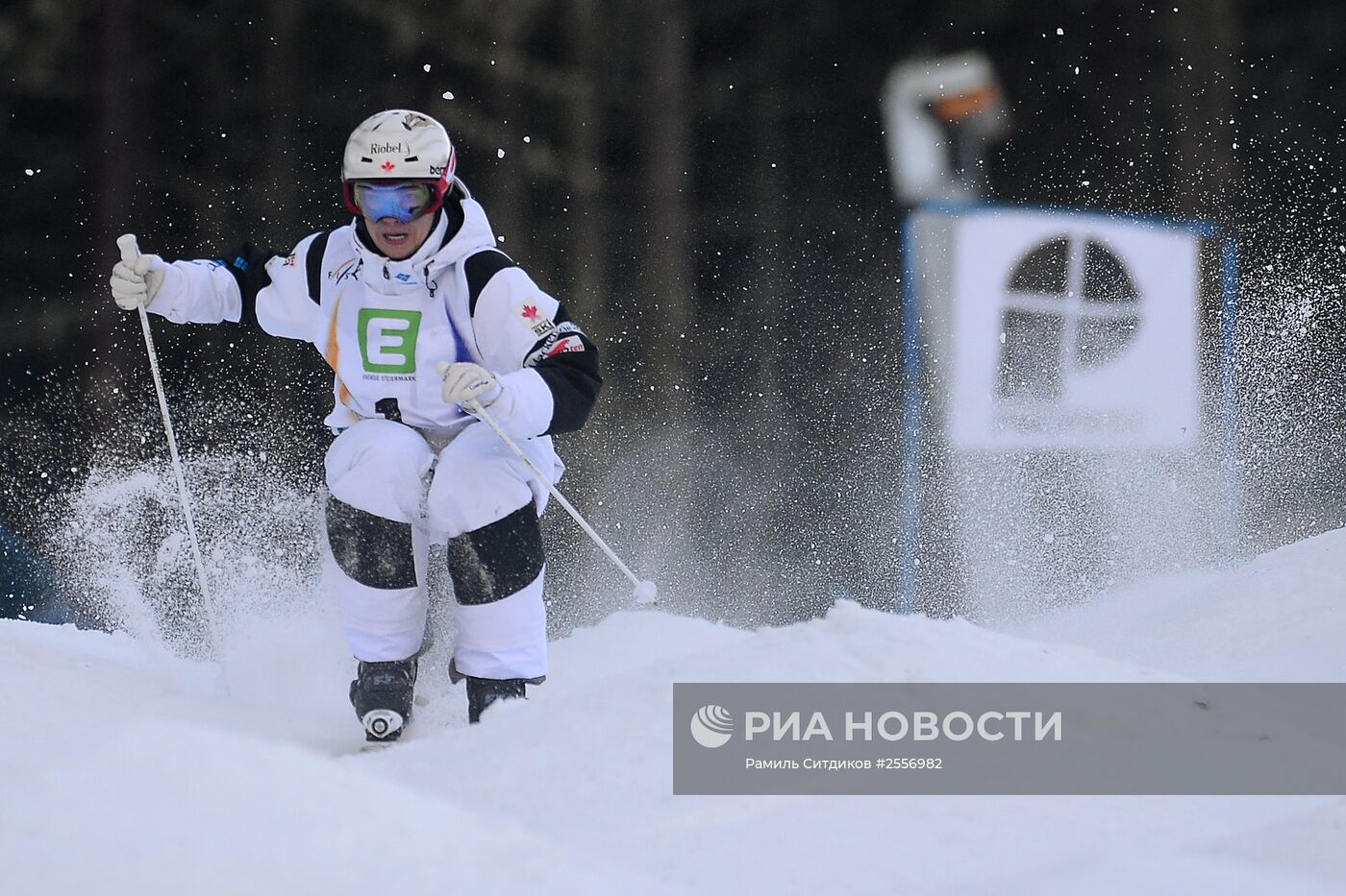 Фристайл. Чемпионат мира. Могул