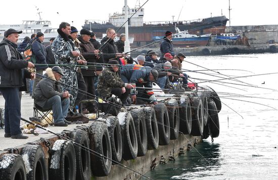 Ловля рыбы в Ялте