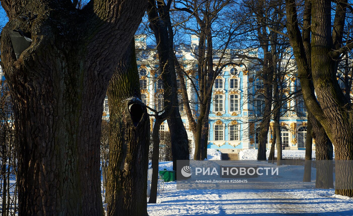 Царскосельский парк в Санкт-Петербурге