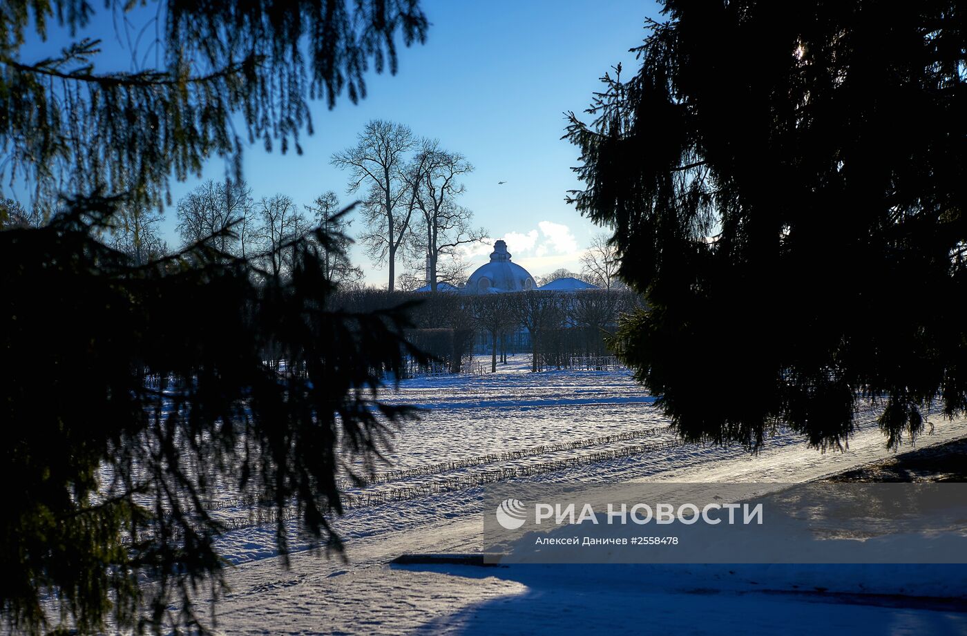 Царскосельский парк в Санкт-Петербурге