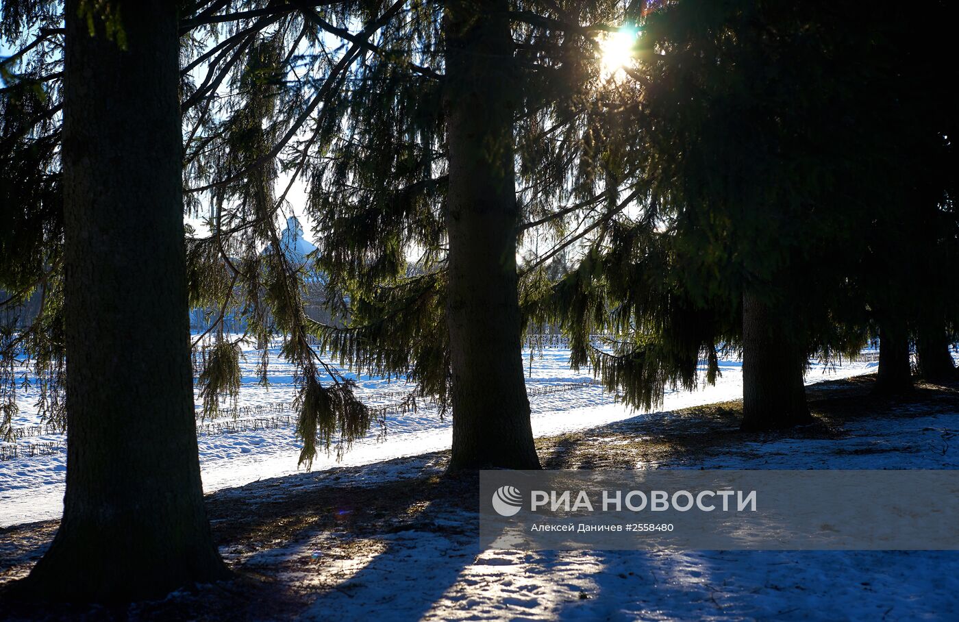 Царскосельский парк в Санкт-Петербурге