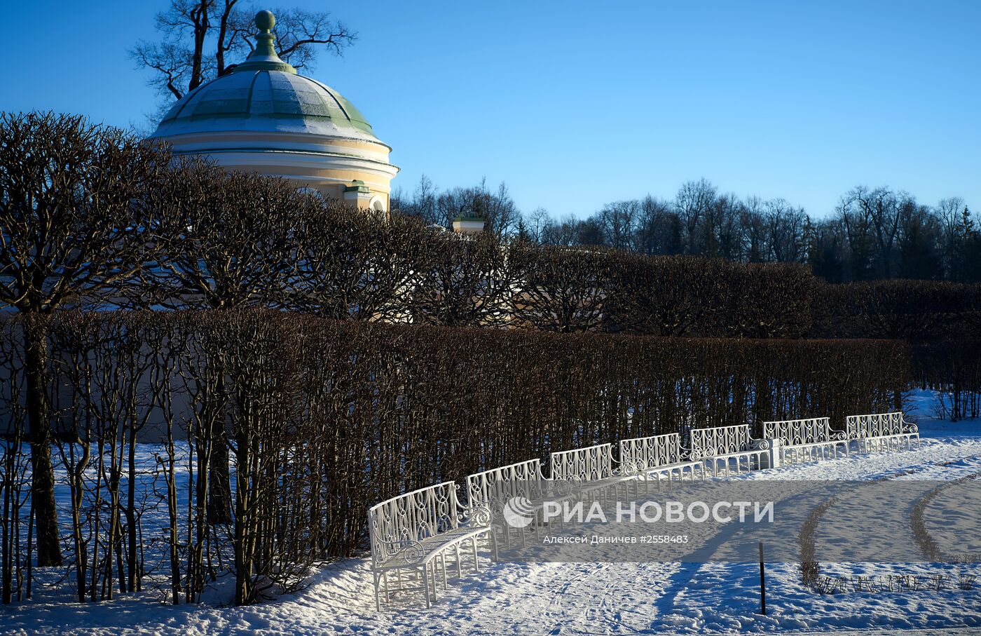 Царскосельский парк в Санкт-Петербурге