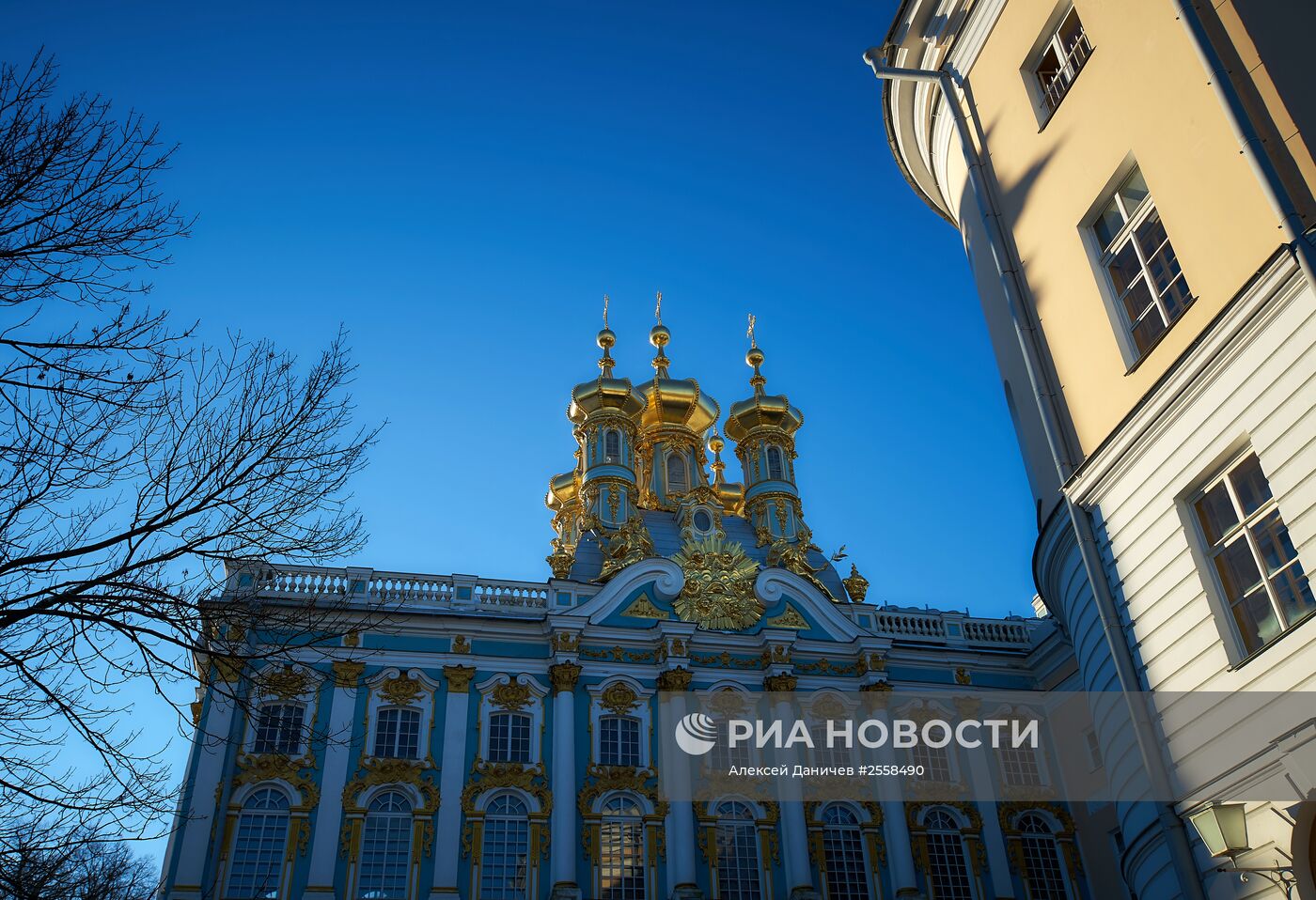 Царскосельский парк в Санкт-Петербурге