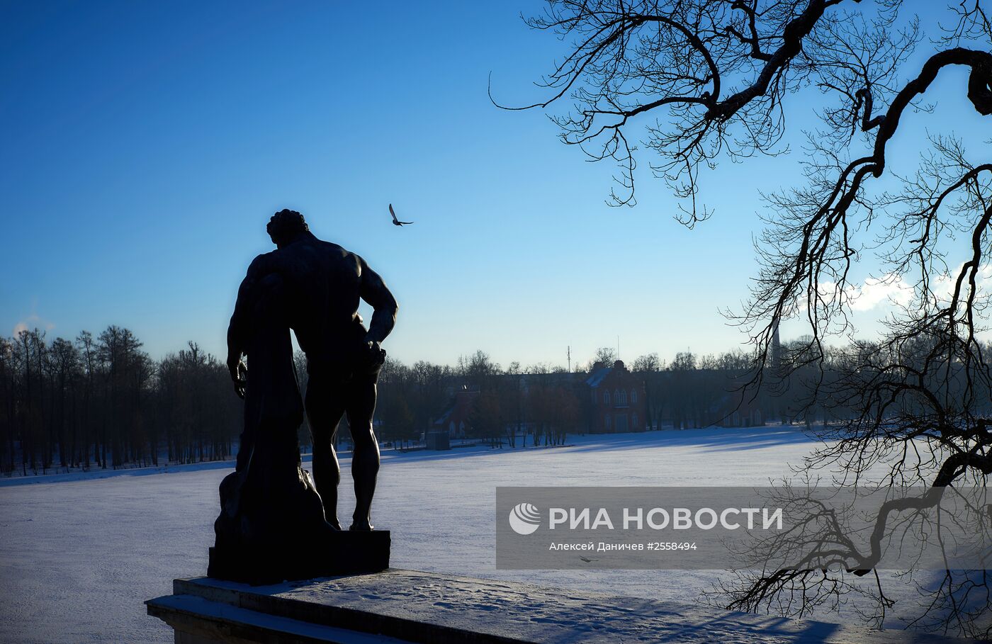 Царскосельский парк в Санкт-Петербурге