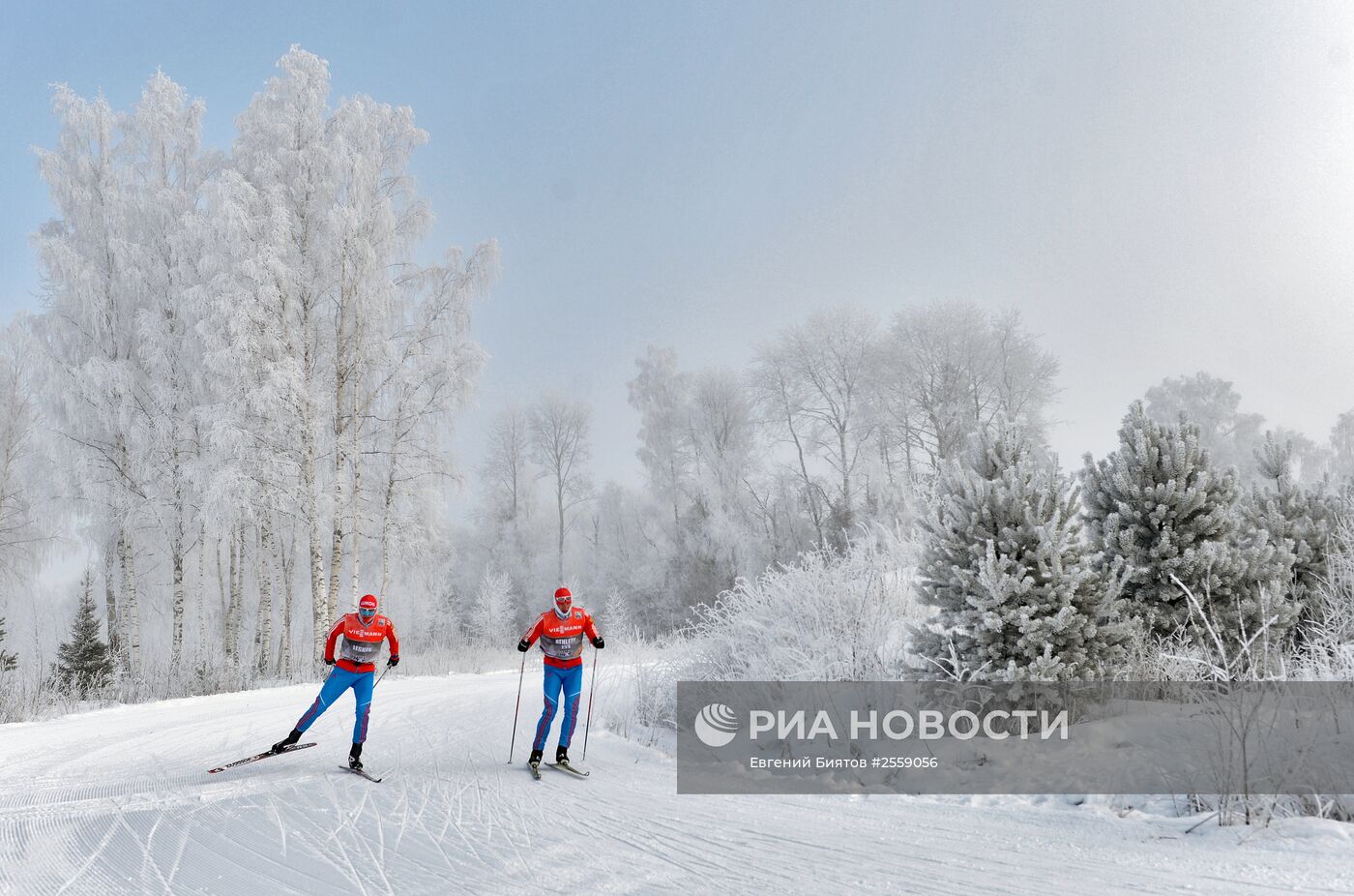 Лыжные гонки. Х этап Кубка мира. Тренировки